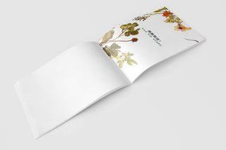 骑马钉画册模板