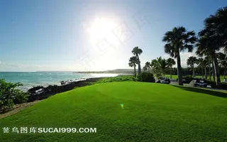 草地湖畔风景图片