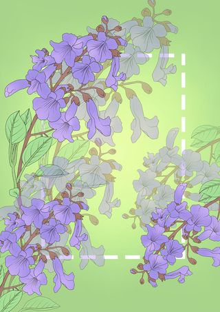 紫色泡桐绿底小清晰画册背景图