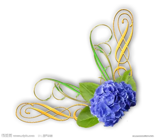 中国古风元素花朵边框