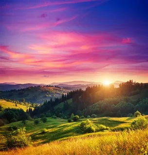 夕阳下的森林风景图片 夕阳下的森林风景图片