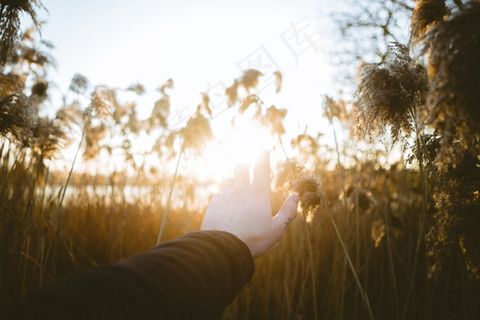 逆光手掌非主流意境图片