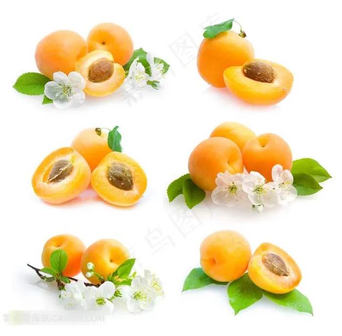 小花与新鲜的桃子特写摄影水果图片