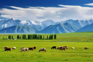 高原雪山的草原的牛羊摄影图