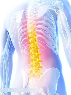 医疗透视系列 - 唯美人体透视 医疗透视系列 - 唯美人体透视