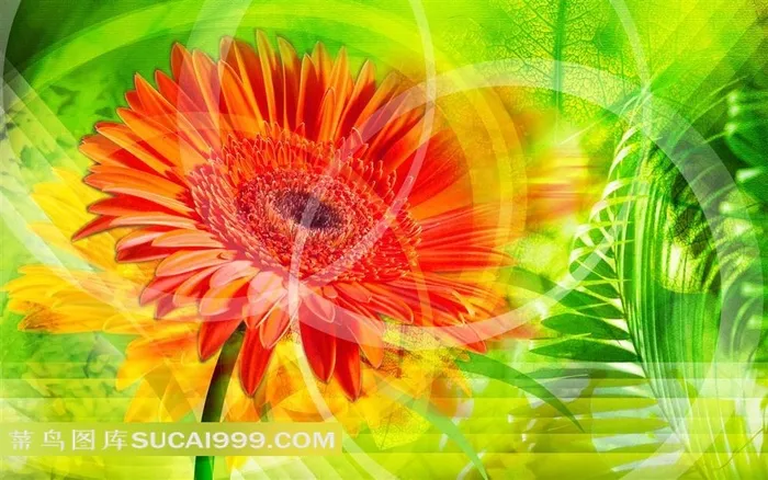 精美手绘鲜花