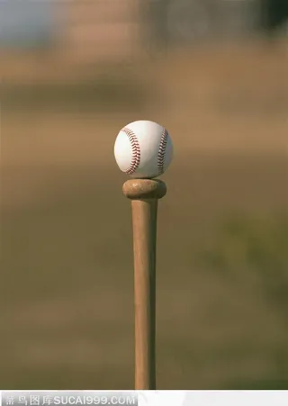 球杆撑起的棒球