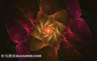 花朵形象分形艺术壁纸素材