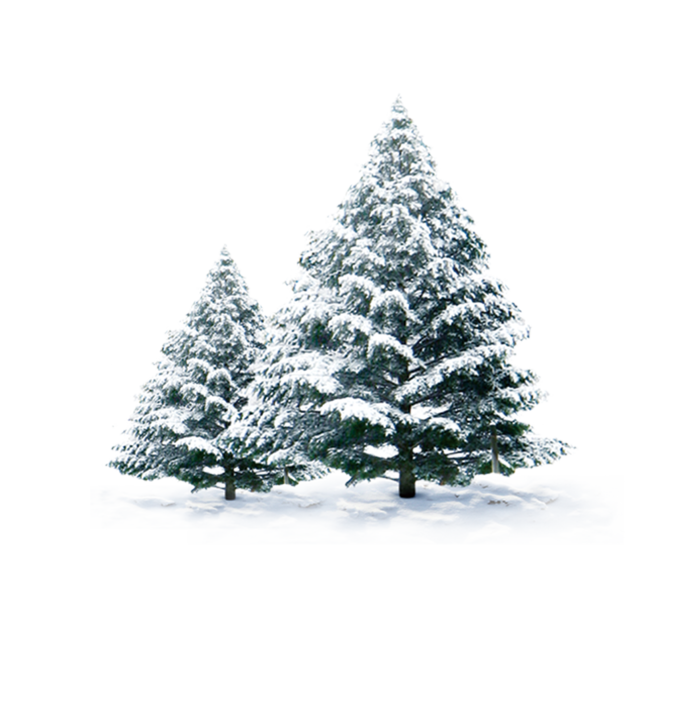 圣诞节平安夜圣诞树免扣素材圣诞元素