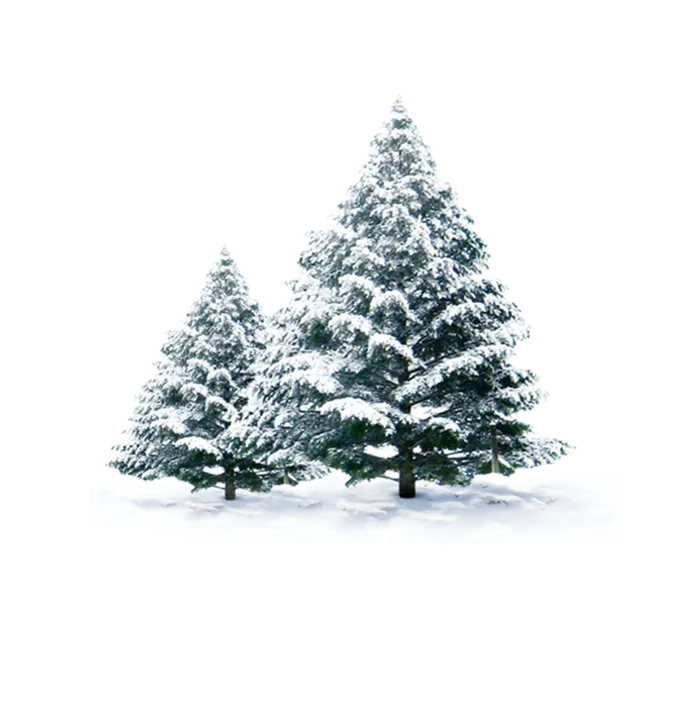 圣诞节平安夜圣诞树免扣素材圣诞元素