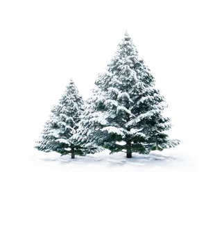 圣诞节平安夜圣诞树免扣素材圣诞元素