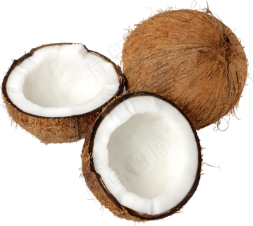 椰子免抠素材 (7)