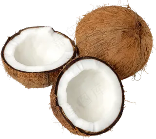 椰子免抠素材 (7)