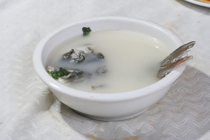 瓦块鱼鱼汤
