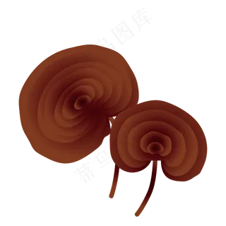 手绘草本中药药材