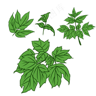 手绘草本中药药材