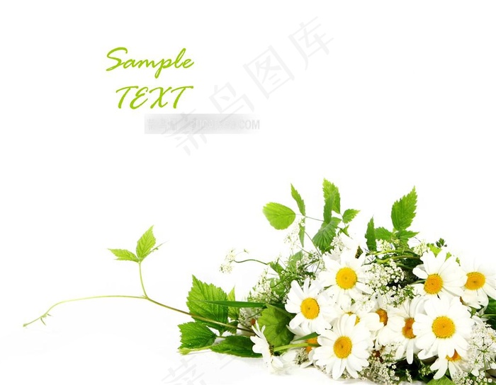 绿叶鲜花花束近景特写摄影高清图片