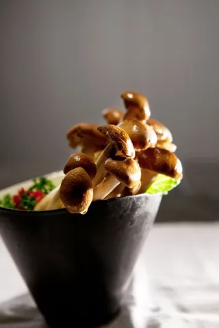 蘑菇香菇金针菇杂菇菌类美食素菜