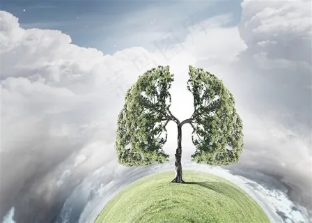 创意人体器官形状大树高清图 创意人体器官形状大树高清图