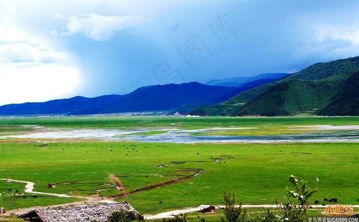 草原 草原 草原