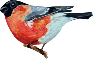 简约风手绘素描动画小鸟鸟儿免扣PNG图片素材 (10)