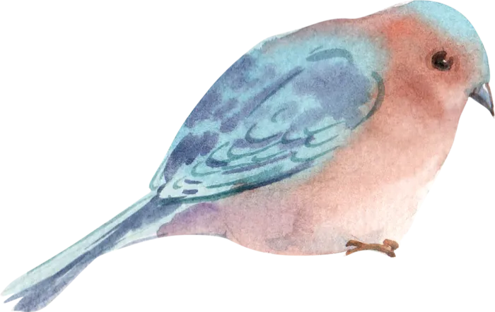 插画免抠高清素材