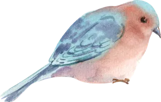 插画免抠高清素材