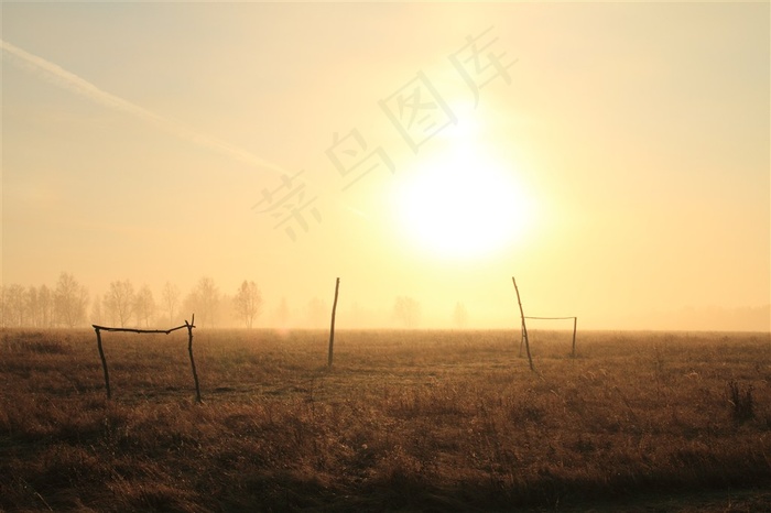 清晨的太阳图片