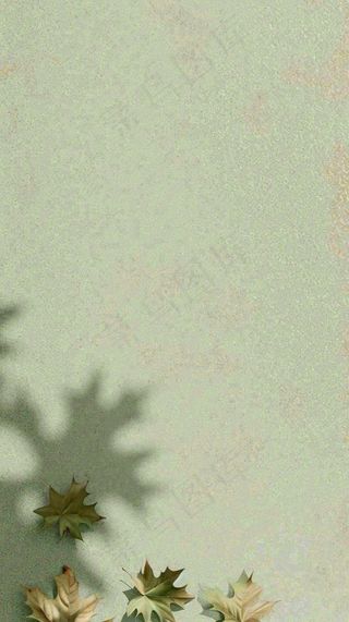 简约绿色叶子影子纹理