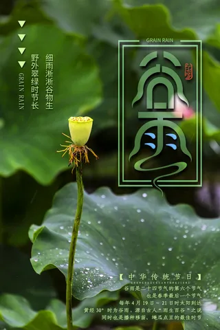 谷雨二十四节气海报设计