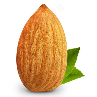 大杏仁图片 大杏仁图片