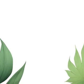 叶子绿叶花草免抠