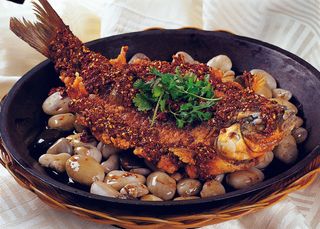 0911XC-047巴山跳跳鱼