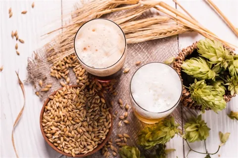 啤酒麦粒图片素材