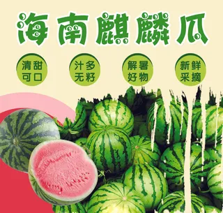 海南麒麟瓜