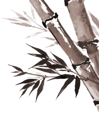 竹子水墨画中国风国画墨水书法竹子画