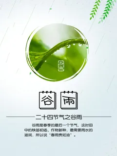 谷雨二十四节气海报设计 谷雨二十四节气海报设计