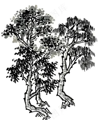 树工笔国画jpg素材