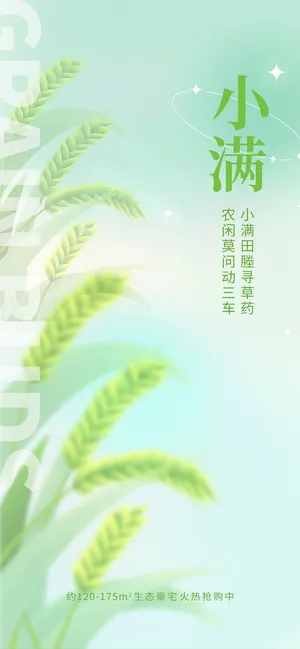绿色中国风小满24节气海报