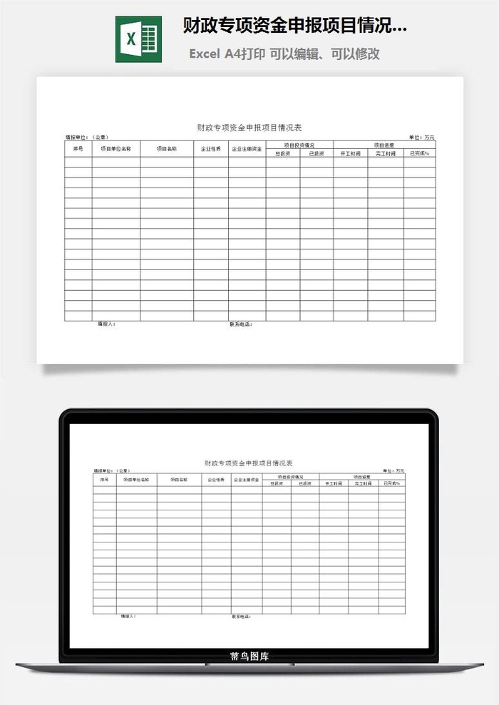 财政专项资金申报项目情况表excel模板