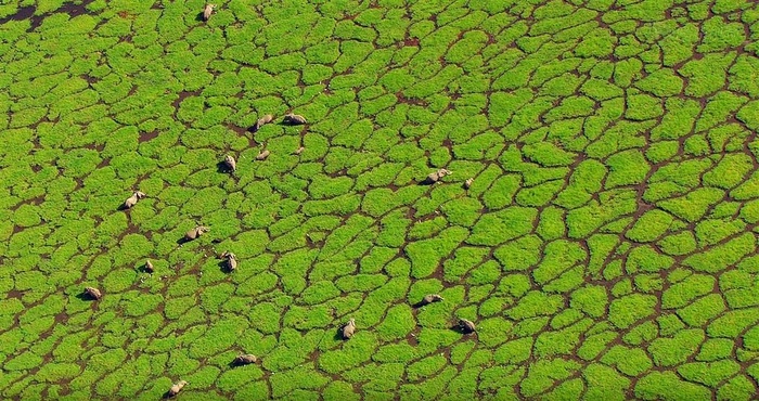 春天一片生机盎然