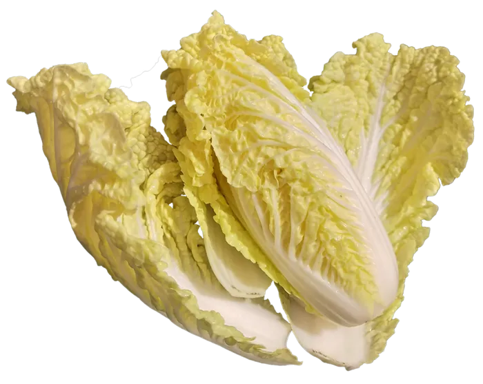 娃娃菜免抠摄影元素素材psd模版下载