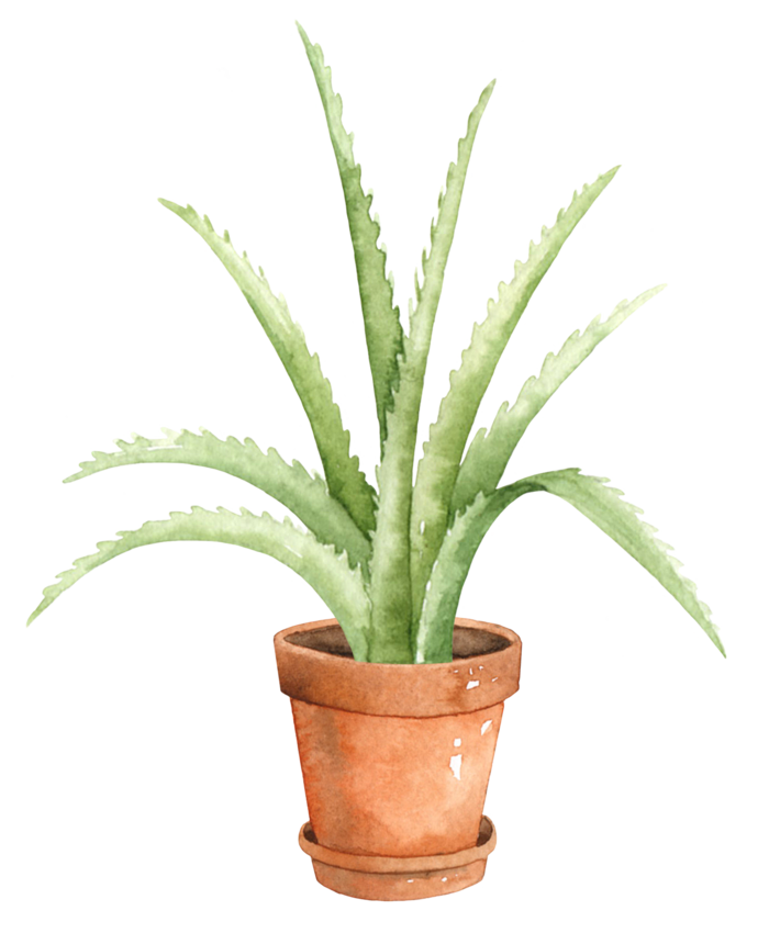 花草植物免扣植物水彩插画设计素材