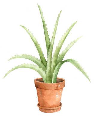 花草植物免扣植物水彩插画设计素材