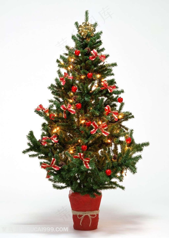 圣诞树装饰图