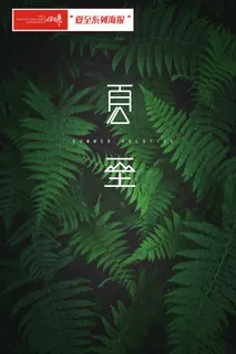 夏至海报大气