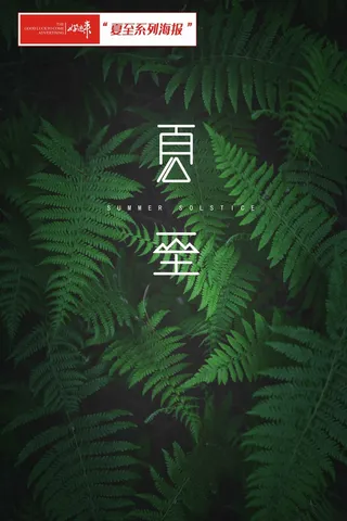 夏至海报大气
