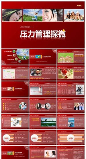 公司企业内部培训精美ppt模板 预览图