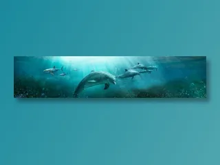 海, 海豚, 海洋, 照相馆, 照片, 鱼