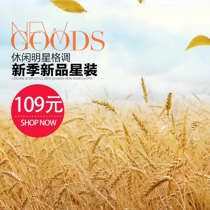 体验休闲明星格调秋冬主图psd模版下载